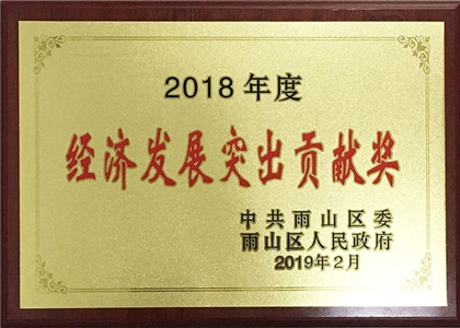 2018年度經濟發展突出貢獻獎 